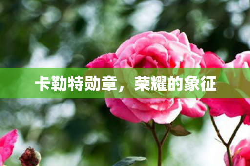 卡勒特勋章图片