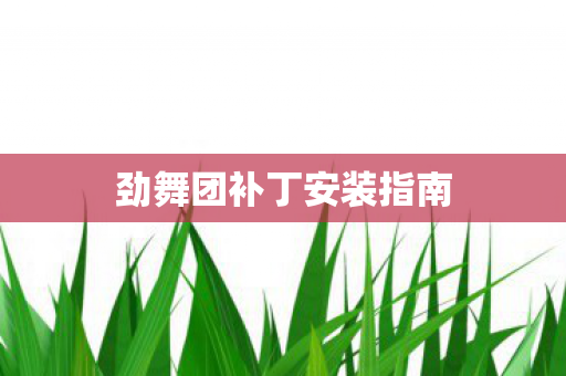 劲舞团补丁安装指南图片