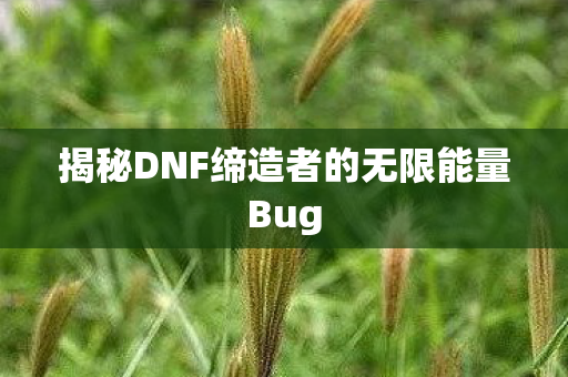 揭秘DNF缔造者的无限能量Bug图片