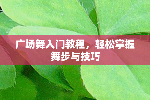 轻松掌握舞步与技巧图片