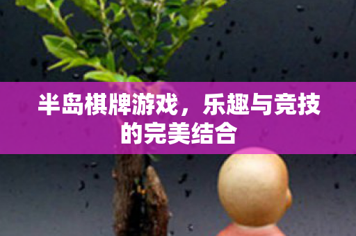 乐趣与竞技的完美结合图片