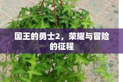 荣耀与冒险的征程图片
