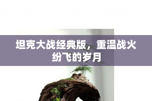 重温战火纷飞的岁月图片