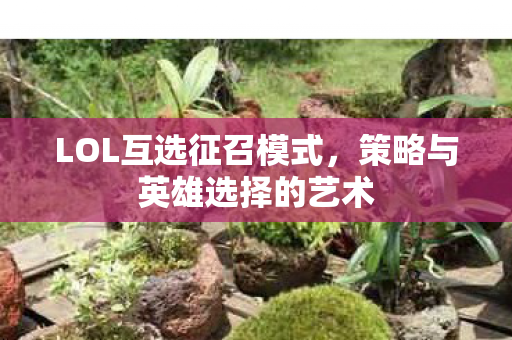 策略与英雄选择的艺术图片