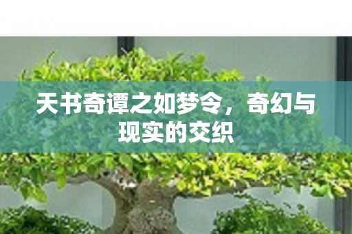 天书奇谭之如梦令图片