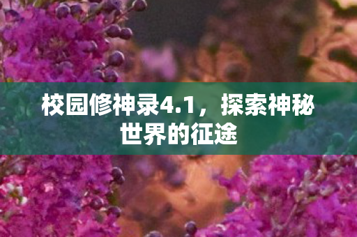 探索神秘世界的征途图片