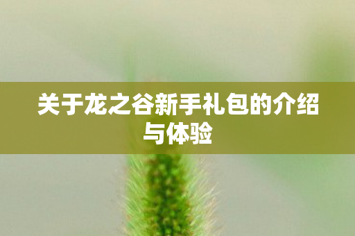 关于龙之谷新手礼包的介绍与体验图片