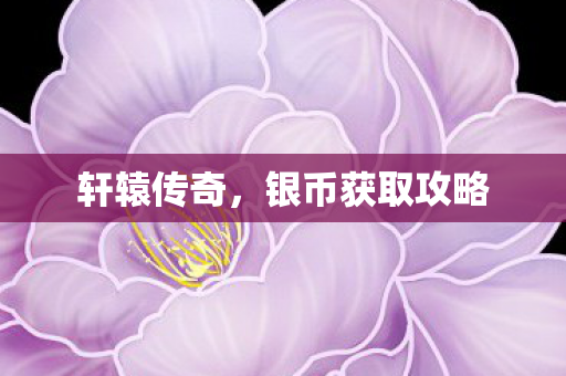 银币获取攻略图片