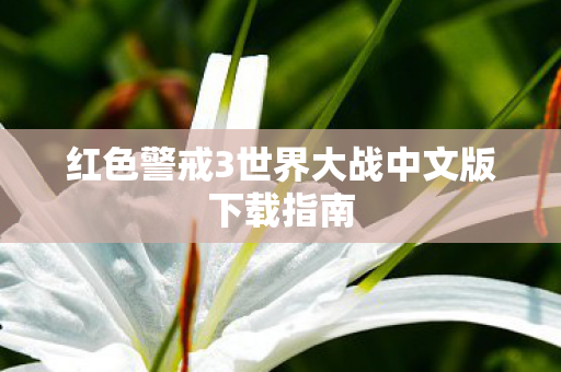 红色警戒3世界大战中文版下载指南图片