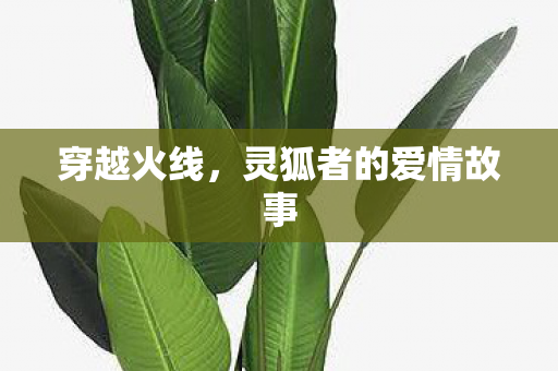 灵狐者的爱情故事图片