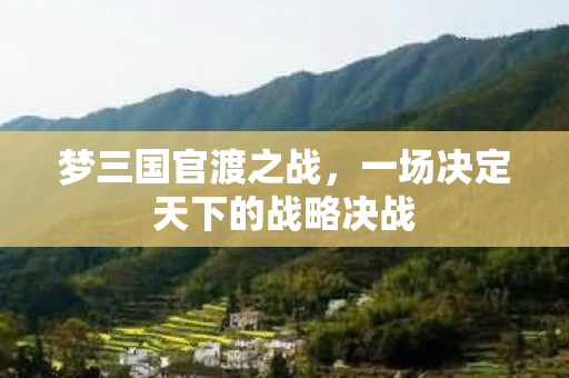一场决定天下的战略决战图片