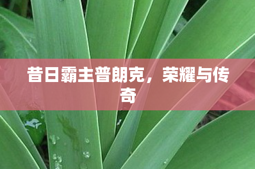 昔日霸主普朗克图片