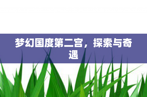 梦幻国度第二宫图片