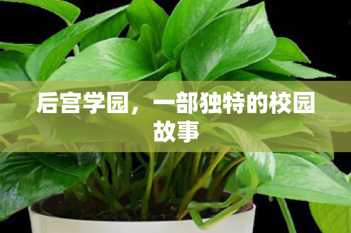 一部独特的校园故事图片