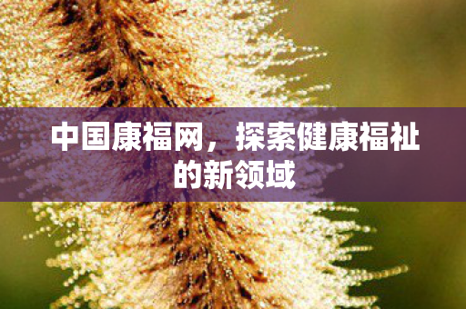 探索健康福祉的新领域图片