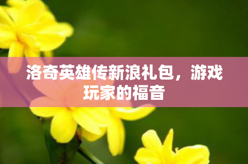 洛奇英雄传新浪礼包图片