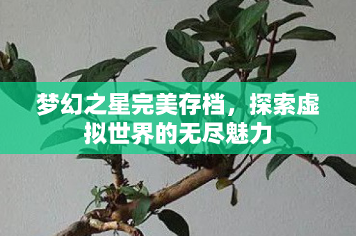 探索虚拟世界的无尽魅力图片