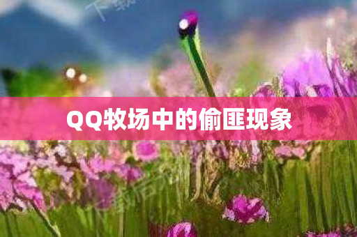 QQ牧场中的偷匪现象图片