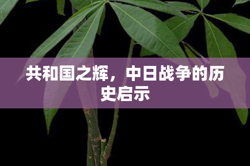 中日战争的历史启示图片