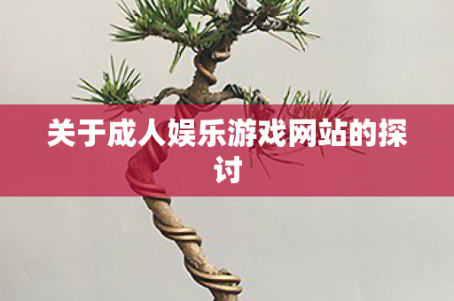 关于成人娱乐游戏网站的探讨图片