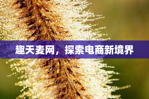 探索电商新境界图片
