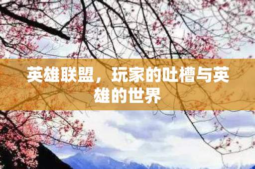 玩家的吐槽与英雄的世界图片
