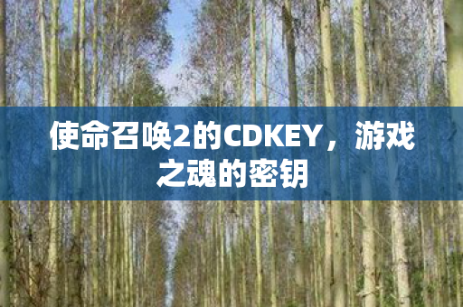 使命召唤2的CDKEY图片