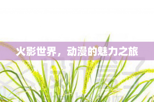 动漫的魅力之旅图片