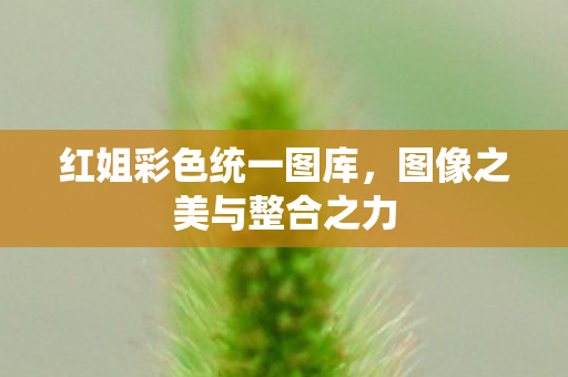 图像之美与整合之力图片