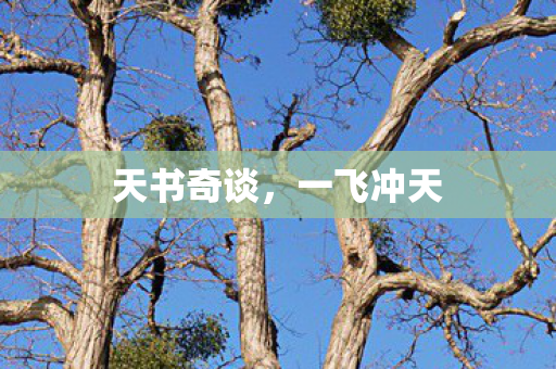 天书奇谈图片