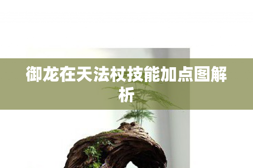 御龙在天法杖技能加点图解析图片
