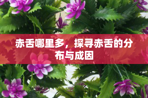 探寻赤舌的分布与成因图片