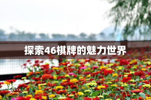探索46棋牌的魅力世界图片