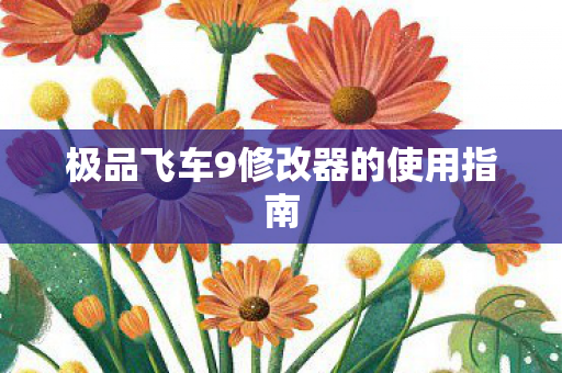 极品飞车9修改器的使用指南图片