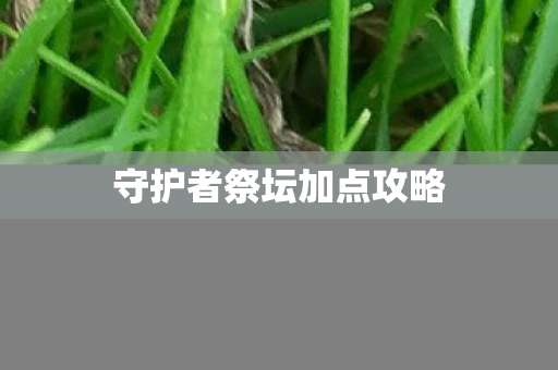 守护者祭坛加点攻略图片