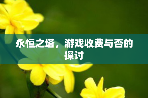 游戏收费与否的探讨图片