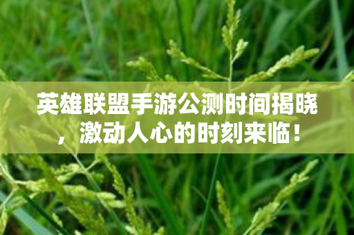 英雄联盟手游公测时间揭晓图片