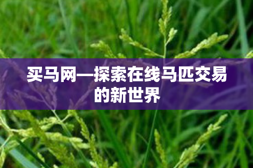 探索在线马匹交易的新世界图片