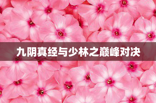 九阴真经与少林之巅峰对决图片