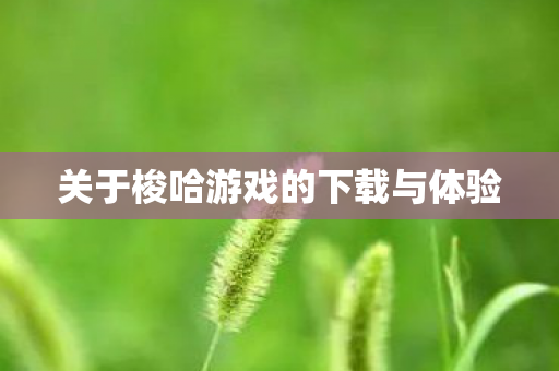 关于梭哈游戏的下载与体验图片