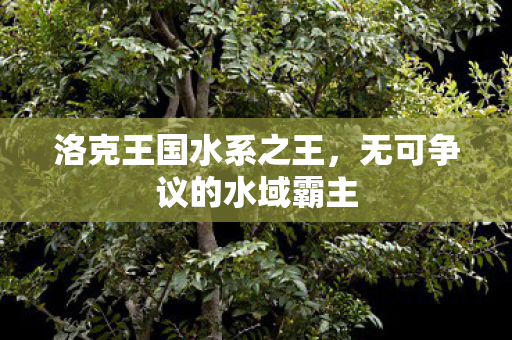 无可争议的水域霸主图片