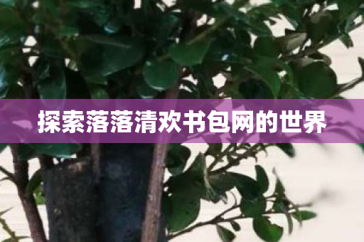 探索落落清欢书包网的世界图片
