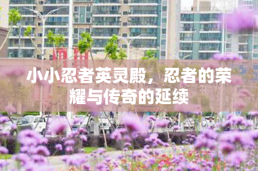 忍者的荣耀与传奇的延续图片