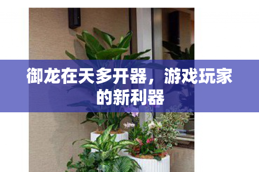 游戏玩家的新利器图片