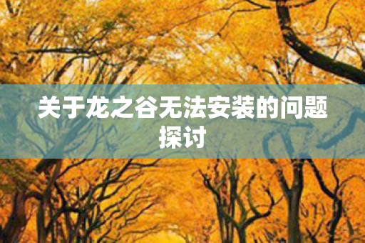 关于龙之谷无法安装的问题探讨图片