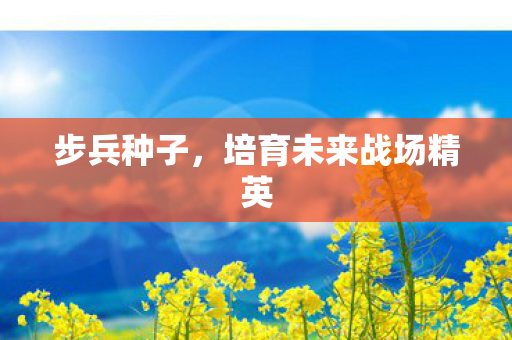 培育未来战场精英图片