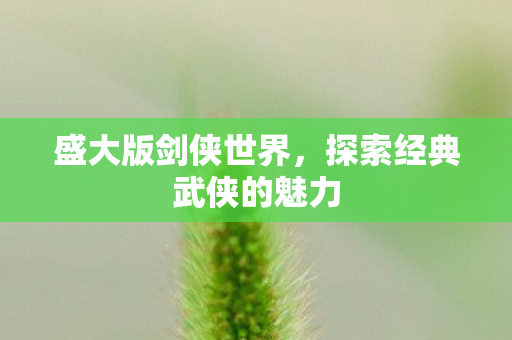 探索经典武侠的魅力图片