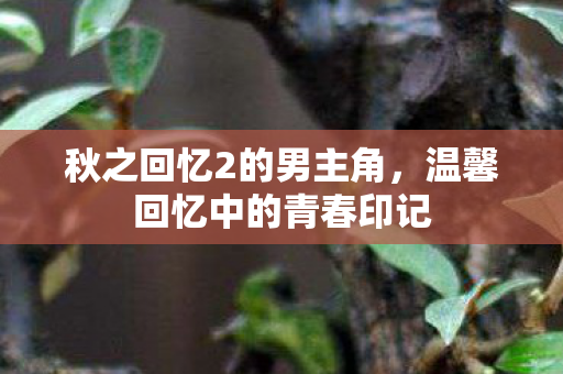 温馨回忆中的青春印记图片