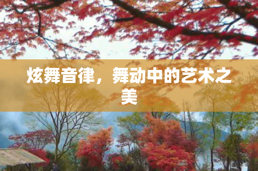 舞动中的艺术之美图片