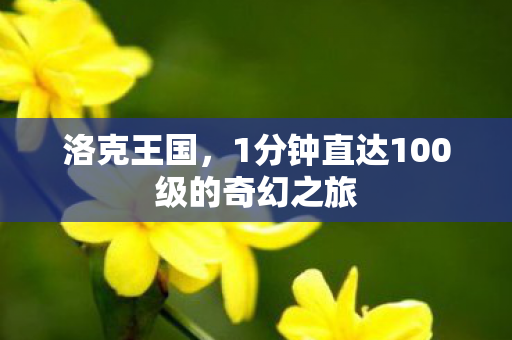 1分钟直达100级的奇幻之旅图片